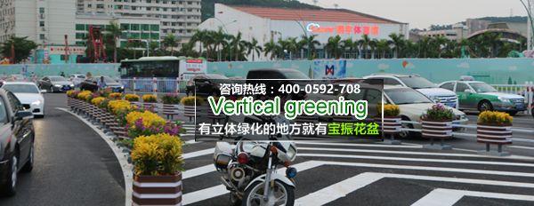 廈門體育中心附近道路花箱立體綠化